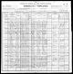 1900 United States Federal Census